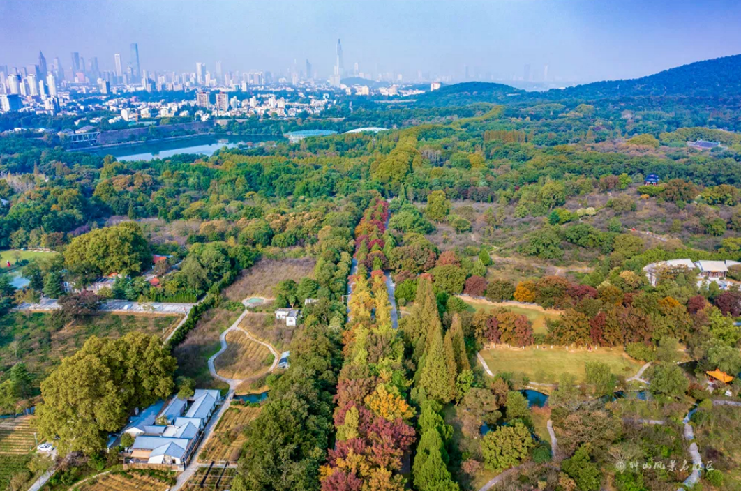 走进钟山风景名胜区（江苏）